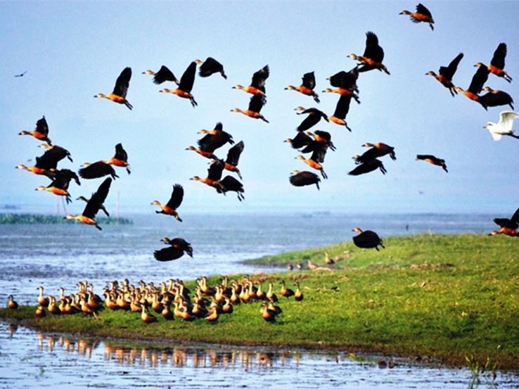 9. Deepor Beel Wildlife Sanctuary
